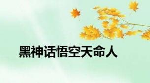 黑神话悟空天命人