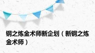 钢之炼金术师新企划（新钢之炼金术师）