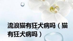 流浪猫有狂犬病吗（猫有狂犬病吗）