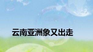 云南亚洲象又出走