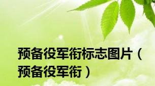 预备役军衔标志图片（预备役军衔）