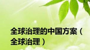 全球治理的中国方案（全球治理）