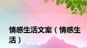 情感生活文案（情感生活）