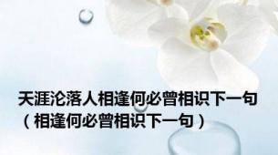 天涯沦落人相逢何必曾相识下一句（相逢何必曾相识下一句）