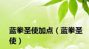 蓝拳圣使加点（蓝拳圣使）