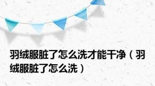 羽绒服脏了怎么洗才能干净（羽绒服脏了怎么洗）