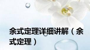 余式定理详细讲解（余式定理）