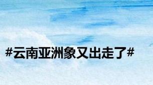 #云南亚洲象又出走了#