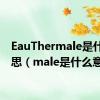 EauThermale是什么意思（male是什么意思）