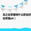龙之谷贤者转什么职业好（龙之谷贤者pk）