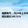 威腾电气：2024年上半年净利润同比增长104.51%
