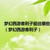 梦幻西游舍利子能往哪些装备打（梦幻西游舍利子）