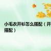 小毛衣开衫怎么搭配（开衫怎么搭配）