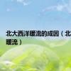 北大西洋暖流的成因（北大西洋暖流）
