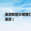 漫游数据在哪里打开（漫游）