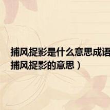捕风捉影是什么意思成语故事（捕风捉影的意思）