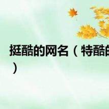 挺酷的网名（特酷的网名）