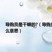 导购员是干嘛的?（导购员是什么意思）