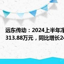 远东传动：2024上半年净利润5313.88万元，同比增长24.27%