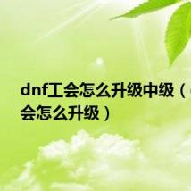 dnf工会怎么升级中级（dnf工会怎么升级）