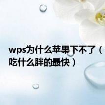 wps为什么苹果下不了(太瘦了吃什么胖的最快)