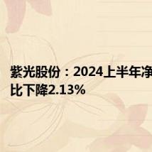 紫光股份:2024上半年净利润同比下降2.13%