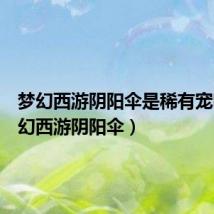 梦幻西游阴阳伞是稀有宠吗（梦幻西游阴阳伞）