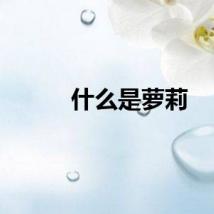 什么是萝莉