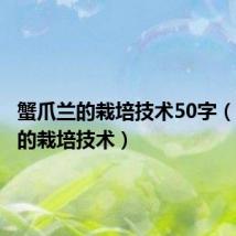 蟹爪兰的栽培技术50字（蟹爪兰的栽培技术）