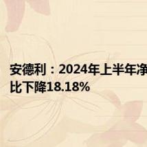 安德利：2024年上半年净利润同比下降18.18%