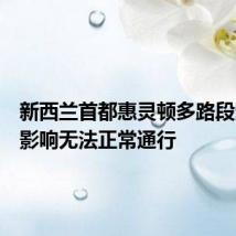 新西兰首都惠灵顿多路段受洪水影响无法正常通行