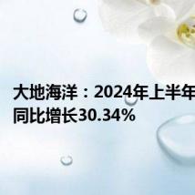 大地海洋：2024年上半年净利润同比增长30.34%