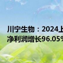 川宁生物:2024上半年净利润增长96.05%