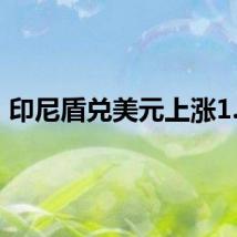 印尼盾兑美元上涨1.1%