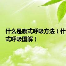 什么是腹式呼吸方法(什么是腹式呼吸图解)