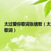 太过爱你歌词张信哲(太过爱你歌词)