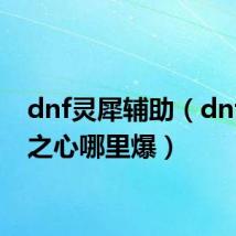 dnf灵犀辅助（dnf灵犀之心哪里爆）