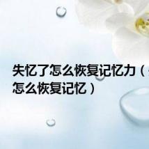 失忆了怎么恢复记忆力（失忆了怎么恢复记忆）