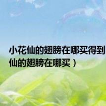 小花仙的翅膀在哪买得到（小花仙的翅膀在哪买）