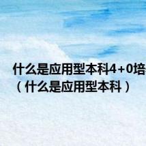 什么是应用型本科4+0培养模式（什么是应用型本科）