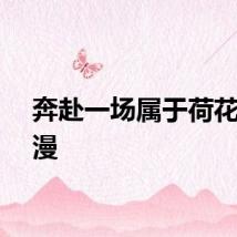 奔赴一场属于荷花的浪漫