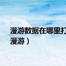 漫游数据在哪里打开（漫游）