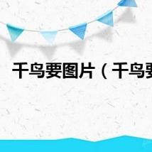 千鸟要图片（千鸟要）