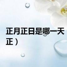 正月正日是哪一天（正月正）