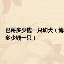 巴哥多少钱一只幼犬(博美幼犬多少钱一只)