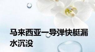 马来西亚一导弹快艇漏水沉没