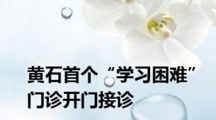 黄石首个“学习困难”门诊开门接诊