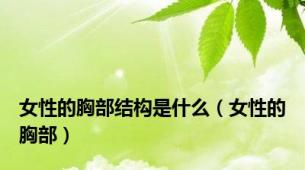 女性的胸部结构是什么（女性的胸部）
