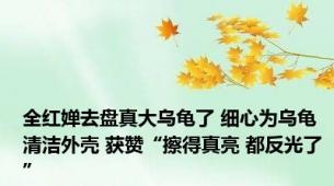 全红婵去盘真大乌龟了 细心为乌龟清洁外壳 获赞“擦得真亮 都反光了”
