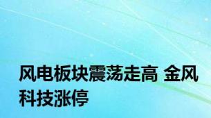 风电板块震荡走高 金风科技涨停